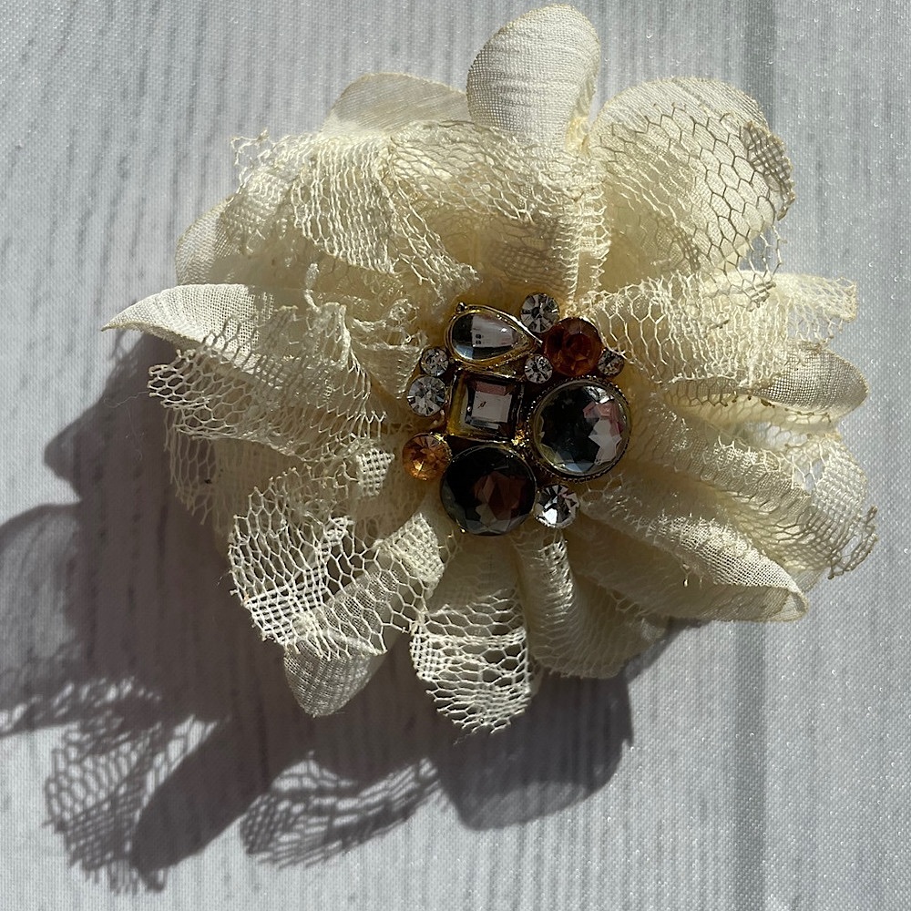 Vintage Brooch & Hair Clip 🤍